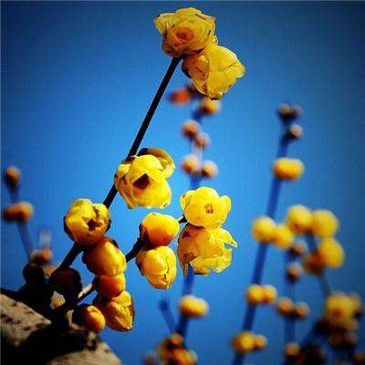 开云·体育(kaiyun)