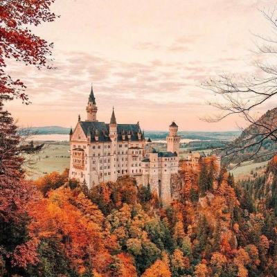 im电竞在线登录