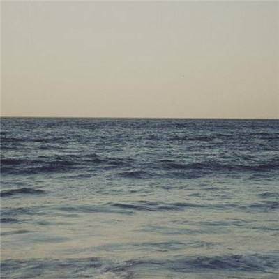 manbetx手机网页登入截图