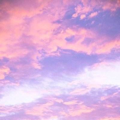 博雅.体育app手机版下载